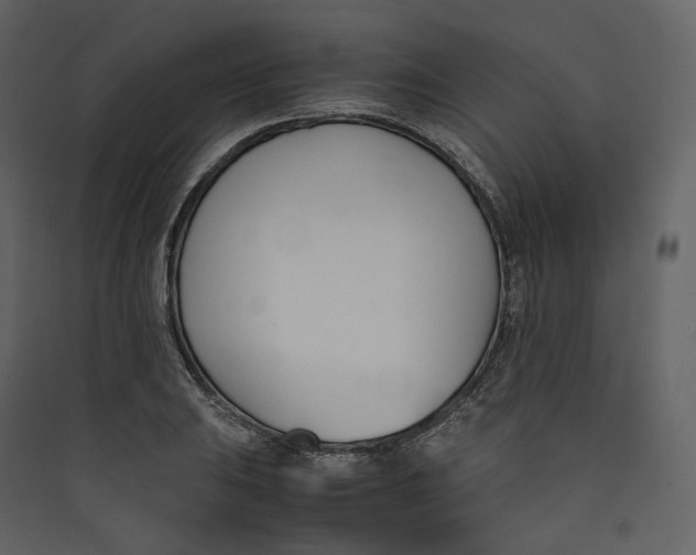 X0000089411031200707131756