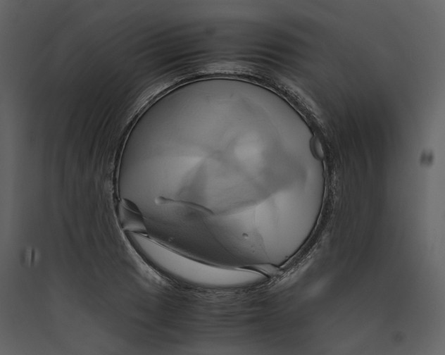 X0000089411033200707131756