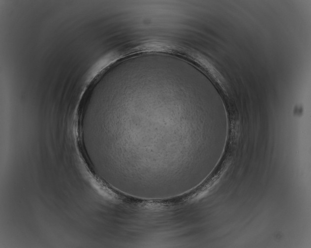 X0000089411034200707131756