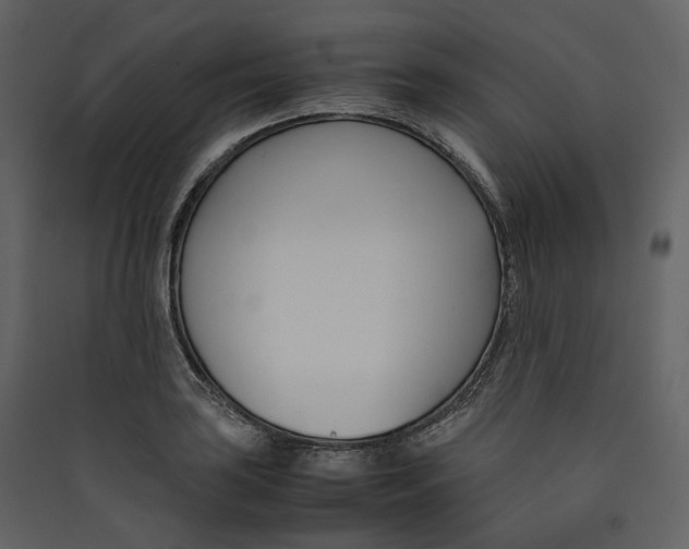 X0000089411035200707131756