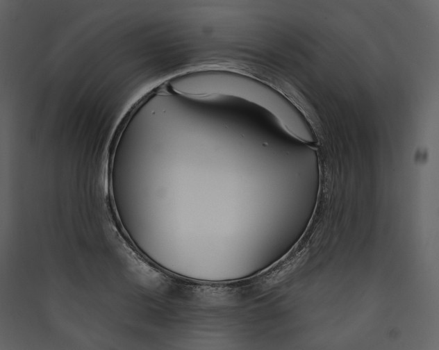 X0000089411036200707131756