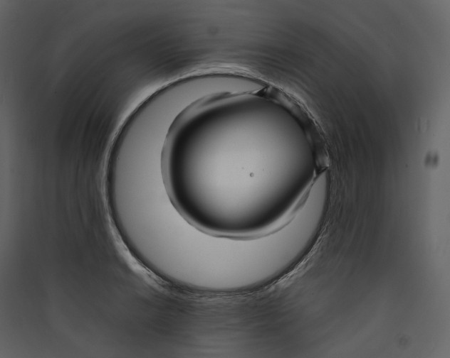 X0000089411038200707131756