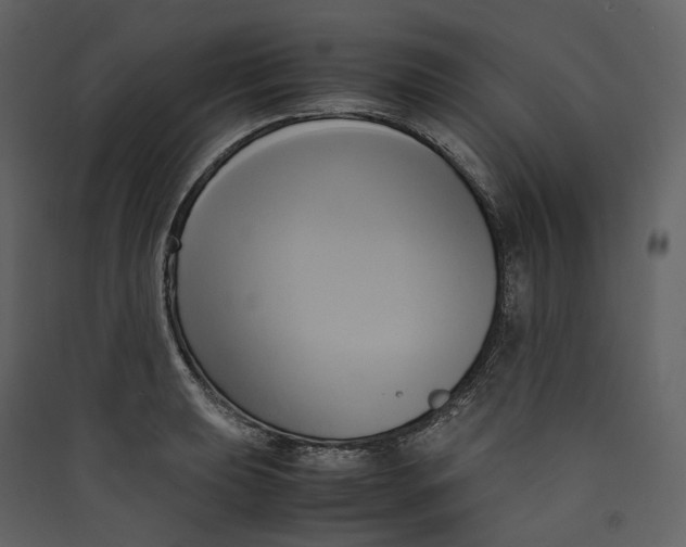 X0000089411039200707131756