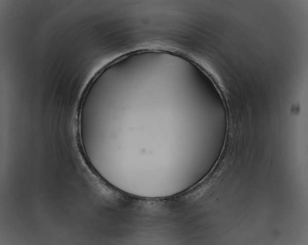 X0000089411040200707131756
