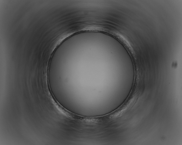 X0000089411041200707131756