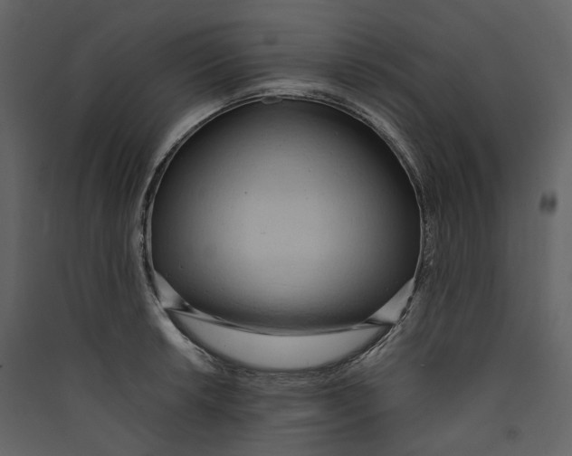 X0000089411042200707131756