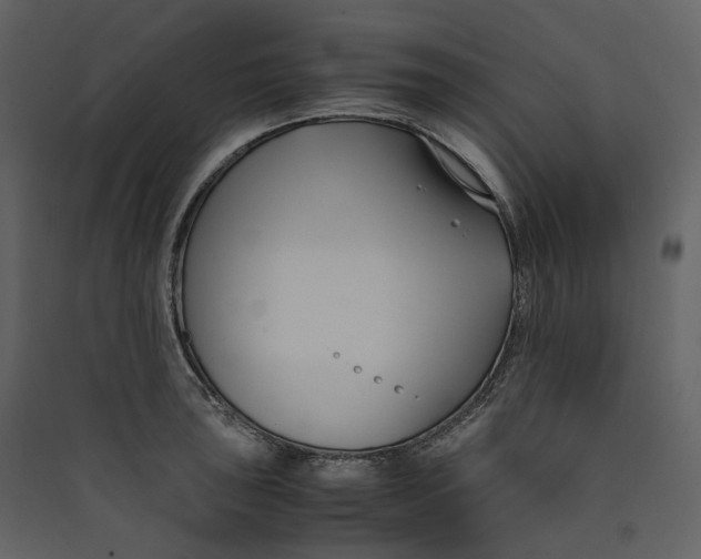X0000089411043200707131756