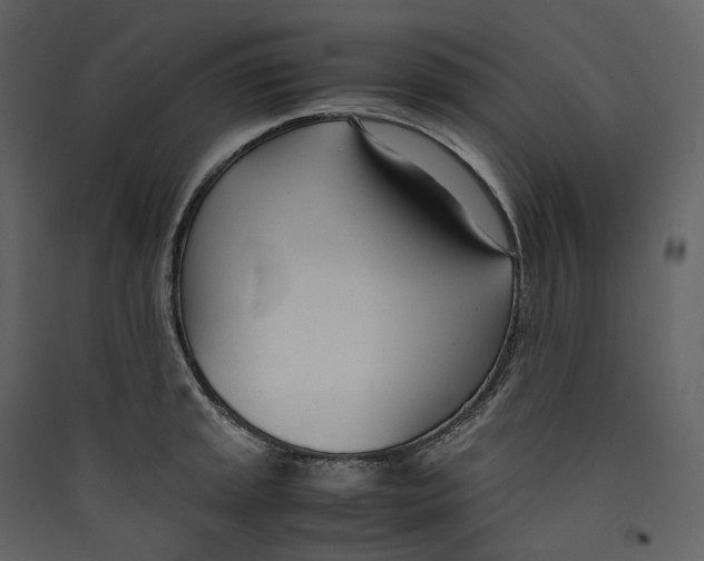 X0000089411045200707131756