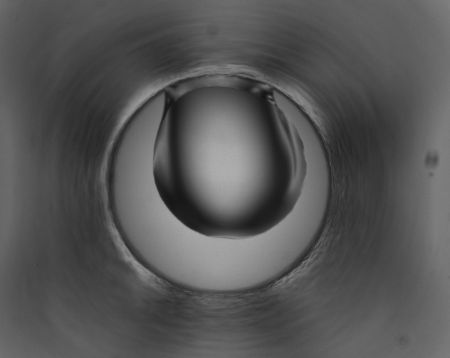 X0000089411046200707131756