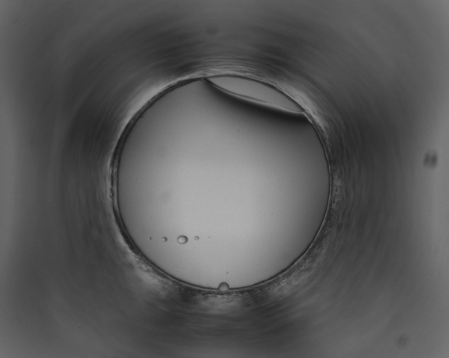 X0000089411047200707131756