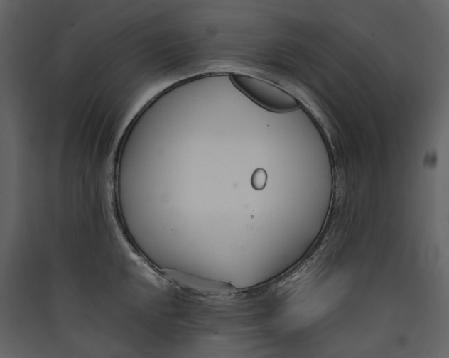 X0000089411048200707131756