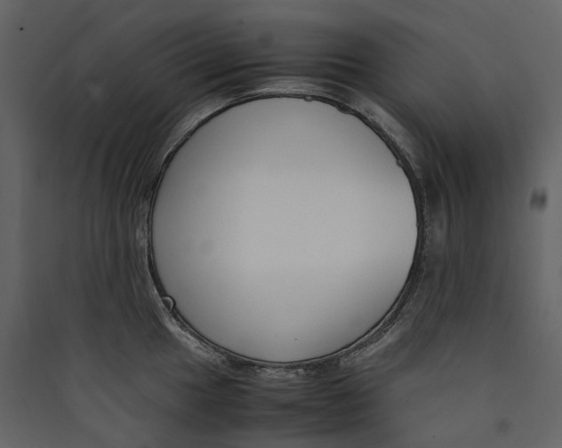 X0000089411049200707131757