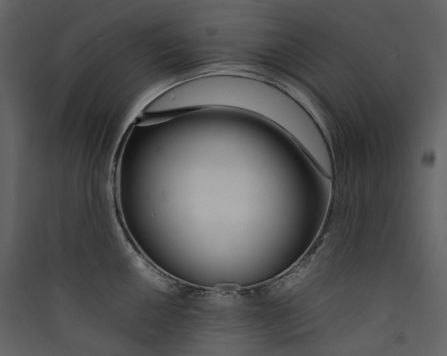 X0000089411050200707131757