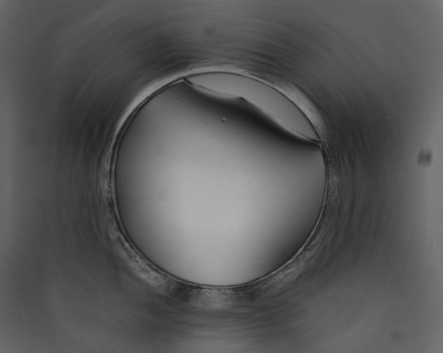 X0000089411052200707131757