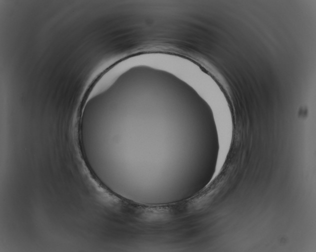 X0000089411053200707131757