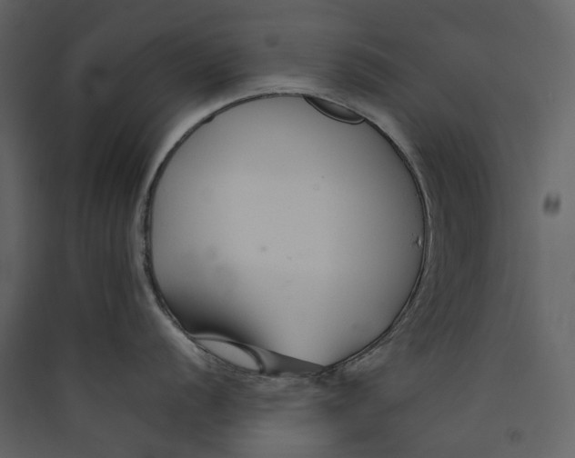 X0000089411056200707131757