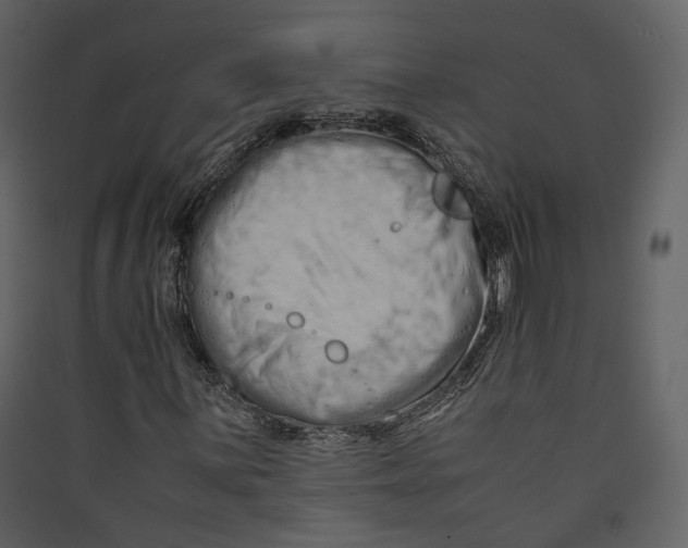 X0000089411059200707131756