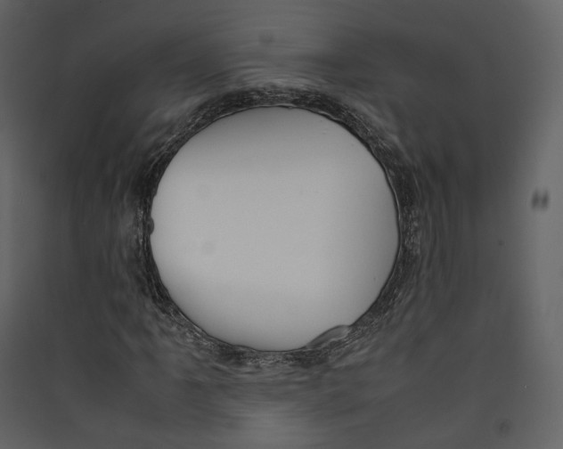 X0000089411061200707131756