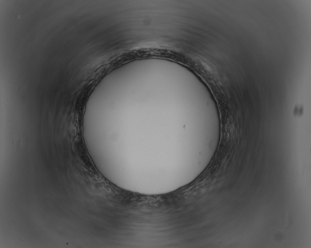 X0000089411062200707131756
