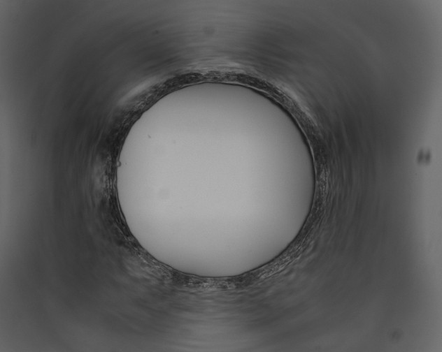 X0000089411063200707131756