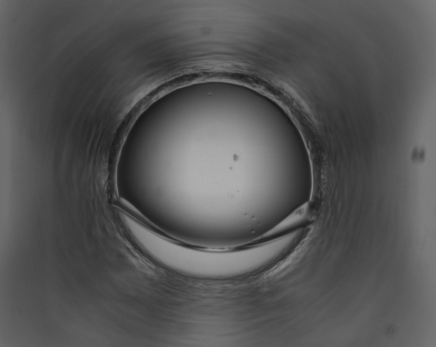 X0000089411065200707131756