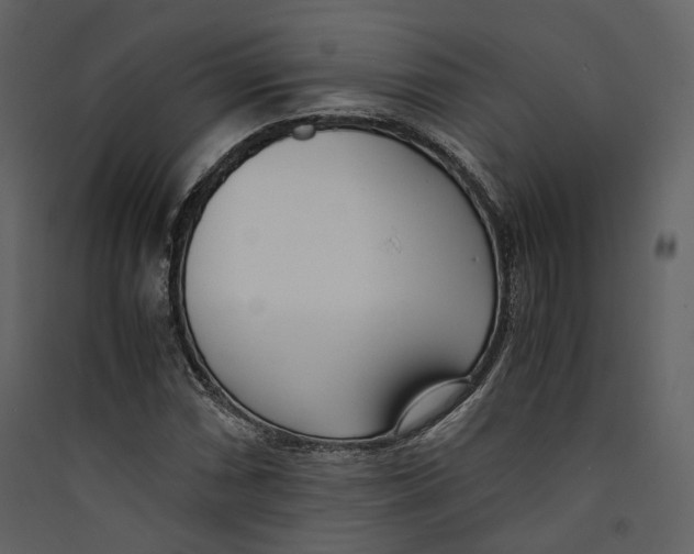 X0000089411066200707131756