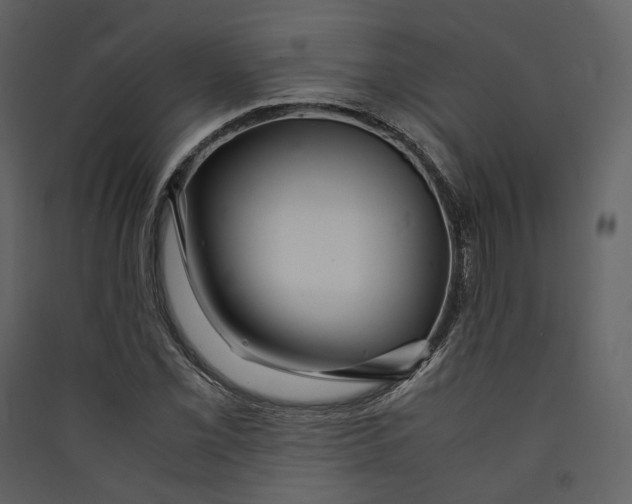 X0000089411069200707131756