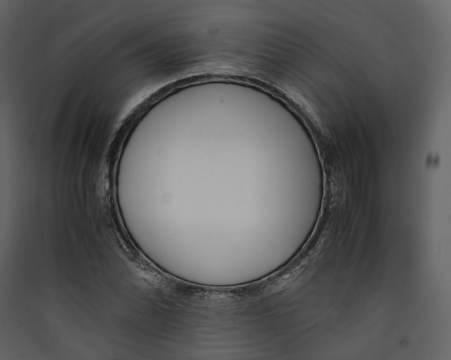 X0000089411070200707131756