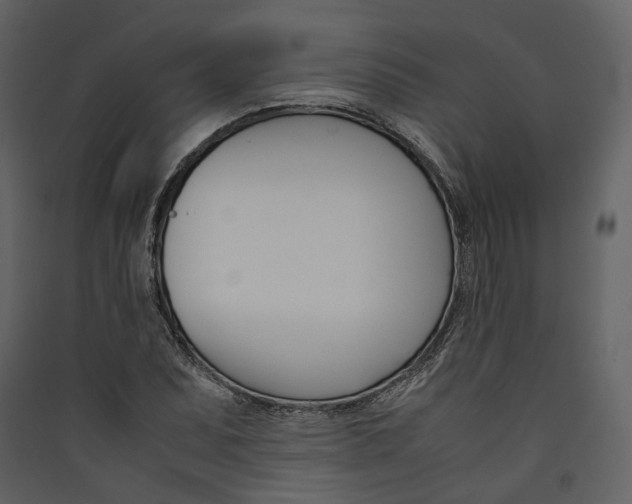 X0000089411071200707131756
