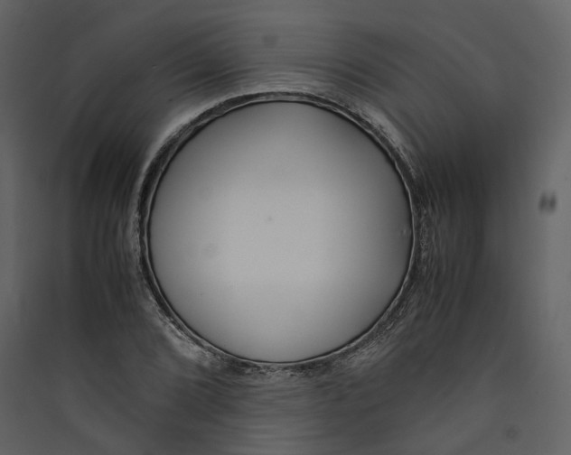 X0000089411072200707131756