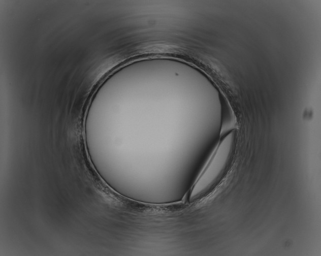 X0000089411073200707131756