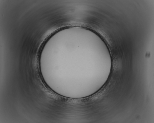 X0000089411074200707131756