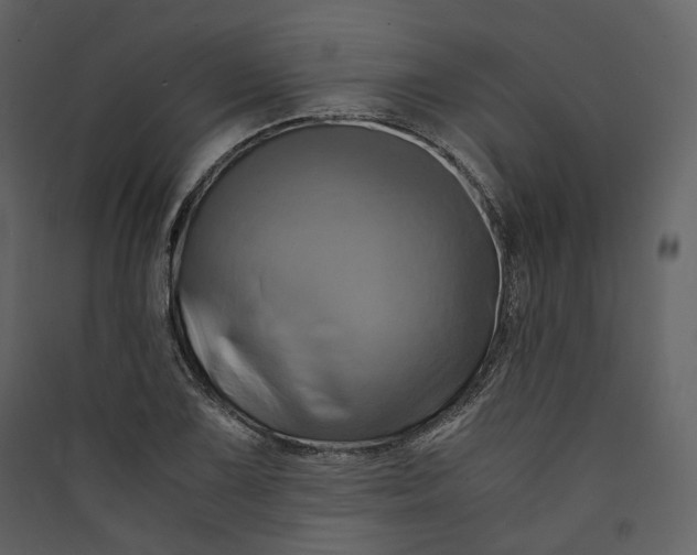 X0000089411075200707131756