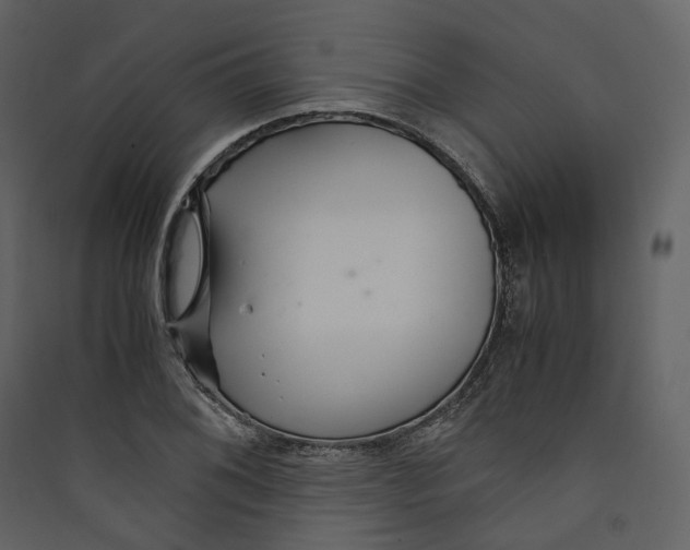 X0000089411076200707131756