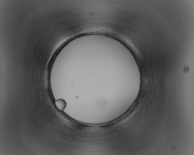X0000089411079200707131756