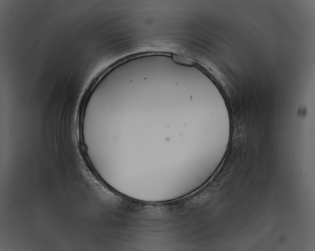 X0000089411080200707131756
