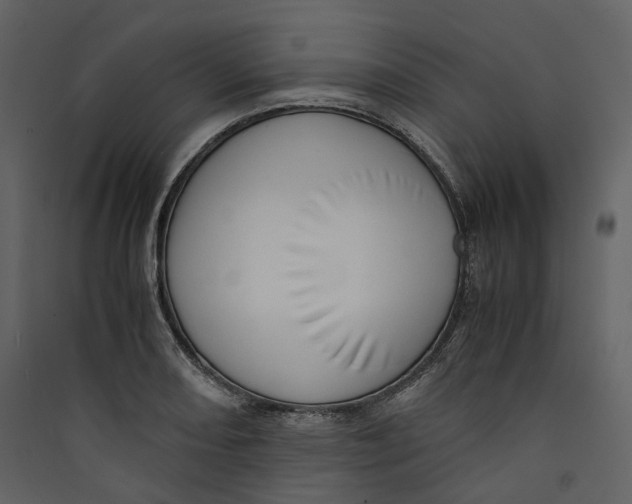 X0000089411082200707131756