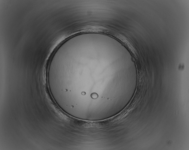X0000089411083200707131755
