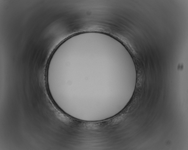 X0000089411086200707131755