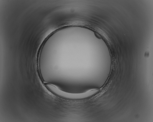 X0000089411087200707131755