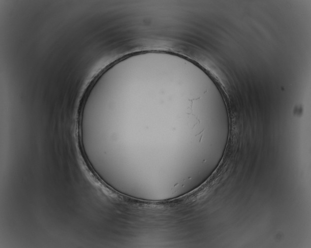 X0000089411088200707131755