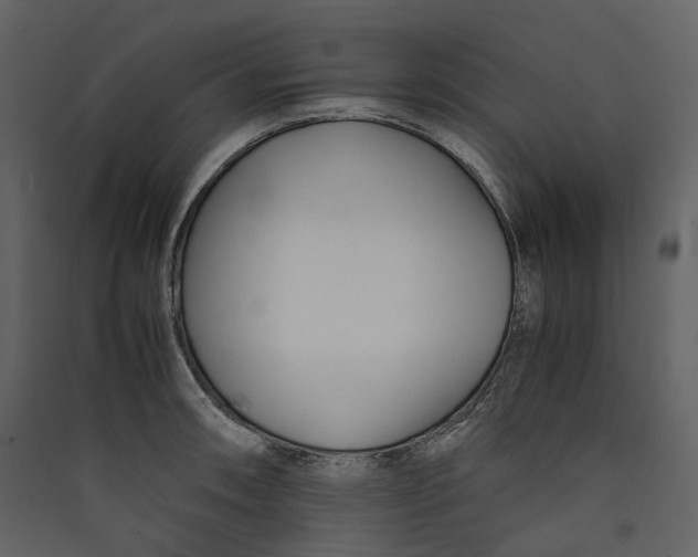 X0000089411090200707131755