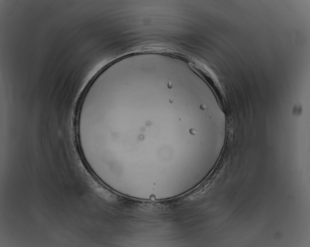 X0000089411091200707131755