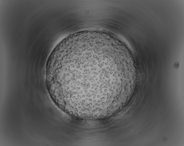 X0000089411095200707131755