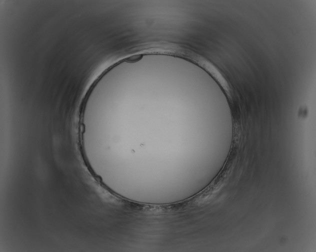 X0000089411099200707131755