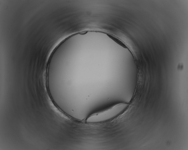 X0000089411100200707131755