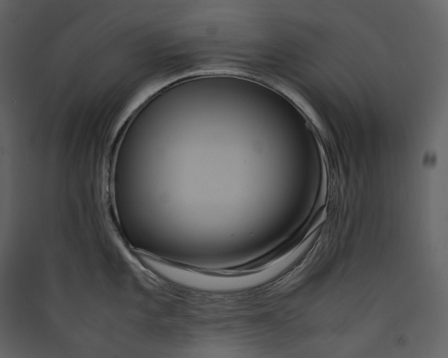X0000089411101200707131755