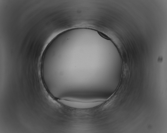 X0000089411102200707131755
