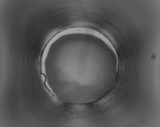X0000089411103200707131755