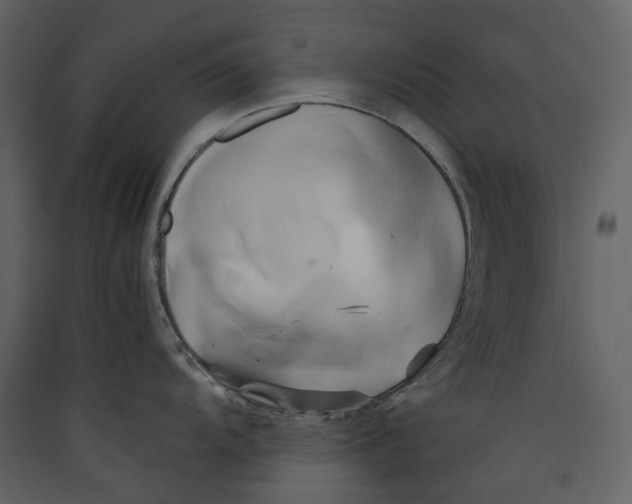 X0000089411104200707131755